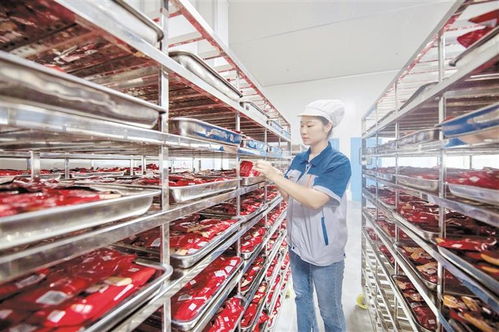 道真 做強做優產業鏈，賦能附著式升降腳手架高質量發展